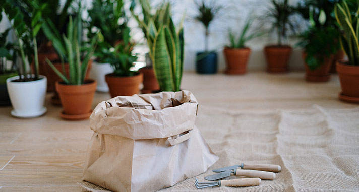 herb garden kit for housewarming gift