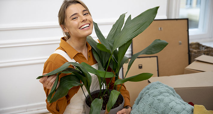 Eco-Friendly Welcomes: Beautiful Housewarming Plant Gifts