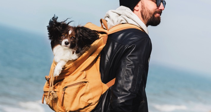 2024’s Best Pet Backpacks: Comfortable and Stylish Carriers